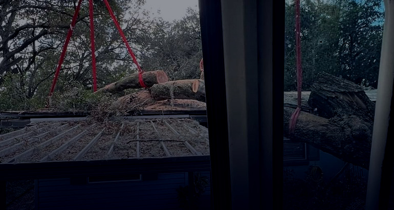 Crane rigging a large limb off a rooftop