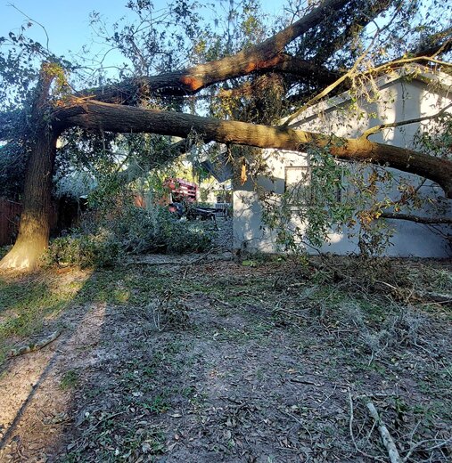 Storm damaged tree resting on a residential structure