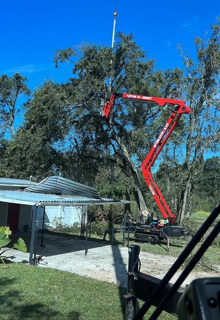 Crane rigging a large limb off a rooftop