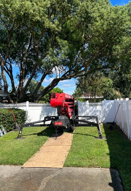 Central Florida Tree Care crew working on a residential property