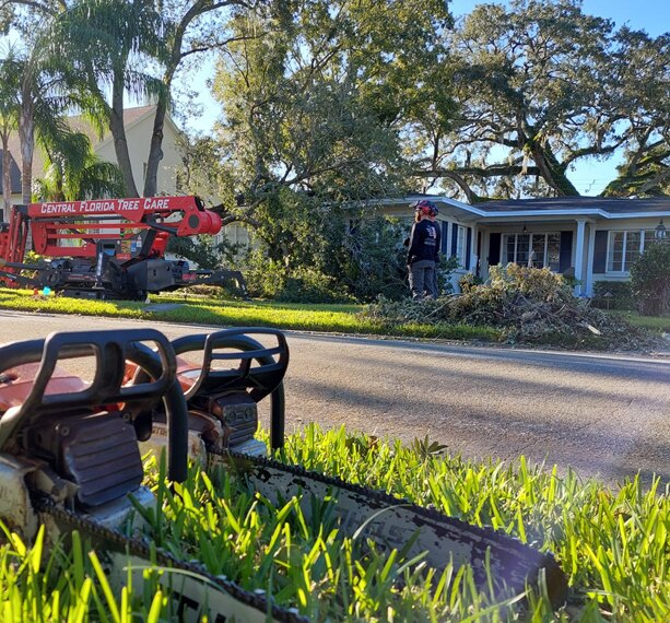 Storm damaged tree work on a Central Florida property